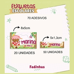 Imagem de 70 etiquetas adesivas escolares personalizadas da Fadinha, destacando tamanhos e quantidades.