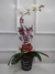 Orquídea 66cmX48cm- CÓD M0044