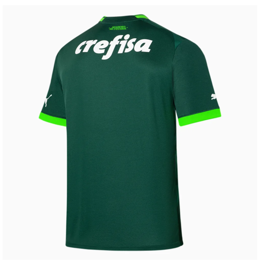 Camisa do palmeiras masculina mercado livre 2025