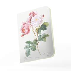 Caderno "Rosa Damascena" de Pierre-Joseph Redouté Capa Flexível Toque Aveludado 80 Páginas 20x14cm - comprar online