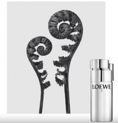 Loewe 7 Plata