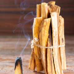 Palo Santo - 100g - comprar online