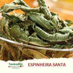 Espinheira Santa 30g - Samadhi Xamanismo