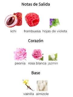 Diagrama de notas de un perfume con lichi, frambuesa, hojas de violeta, peonía, rosa blanca, jazmín, vainilla y almizcle.