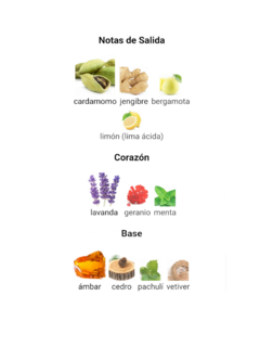 Descripción de las notas de salida, corazón y base del perfume Lattafa Al Nashama Caprice, incluyendo ingredientes como cardamomo, jengibre, lavanda y ámbar.