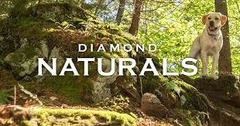 Banner de la categoría DIAMOND NATURALS