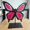 Escultura de borboleta feita de ágata rosa, com detalhes em preto, exibida em um suporte.