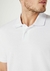 CAMISA POLO MASCULINA - HERING - comprar online