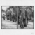 Quadro Manada de Elefantes Preto e Branco kit duas telas