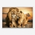 Quadro Família de Leões um Filho Pôr do Sol na internet