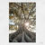 Quadro Árvore Gigante Ensolarada - comprar online