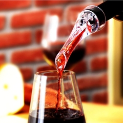 Aerador de Vinhos com Bico Filtro Decanter Luxo Du Vin Prana - Manufakt