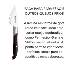 uma faca de queijo parmesão de aço inox com cabo de madeira da marca italiana Legnoart