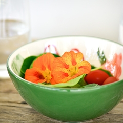Tigela Bowl 16cm 600ml Salada Verde Oxford Porcelanas - comprar online