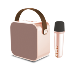 Parlante Mini Karaoke Box I30