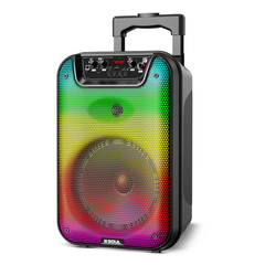Parlante Soul Bluetooth XL100 8 Led Color Luces Microfono