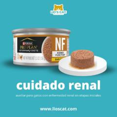 Descubre Pro Plan NF Kidney Early Care 145gr para Gatos en Lioscat, el primer ecommerce en México exclusivo para gatos. Este alimento está especialmente formulado para proporcionar un cuidado renal temprano y efectivo a tu felino. 