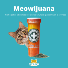 Catnip para Gatos. Envase de Meowijuana Kalico Kush, hierba gatera orgánica para gatos, con diseño colorido y logo distintivo. Disponible en Lio's Cat.