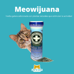 Envase de hierba gatera Meowijuana Feline Frost con un gato curioso al lado. La opción idela para estimular a tu gato al juego. Disponible en Lio's Cat.