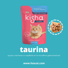 ¡Transforma la hora de la comida en un festín irresistible para tu gato con Kisha! Este alimento húmedo en sobre destaca por su exquisita receta de tilapia, ofreciendo un sabor que hará que tu felino vuelva por más.