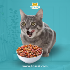 Purina Felix Megamix 10kg es un alimento completo y equilibrado para gatos adultos, con deliciosas croquetas de pollo, res y pescado. ¡Nutrición irresistible y envío gratis en Puebla y Tlaxcala!