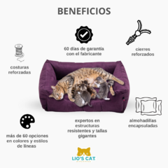 Cama Dreams para gatos Canigatinos - Lio's Cat - Lio's Cat - Tienda Exclusiva para Gatos en México