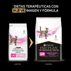 Pro Plan Veterinary Diets UR para Gatos, alimento seco recomendado por veterinarios para la salud urinaria de gatos. Encuéntralo en Lio's Cat, la tienda en línea líder para productos exclusivos de gatos en México.