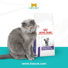 Gato comiendo Royal Canin Weight Control Feline, promoviendo una dieta saludable y balanceada