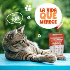 Waggy's® Mobility Gatos - Premios Funcionales para Salud Articular en Gatos | Lio's Cat - comprar en línea