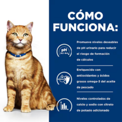 Hill's c/d Urinary Care Lata 156gr | Salud Urinaria para Gatos Adultos | Lio's Cat en internet