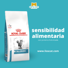 Detalles del empaque de Royal Canin Anallergenic Feline, ingredientes y beneficios para gatos con alergias