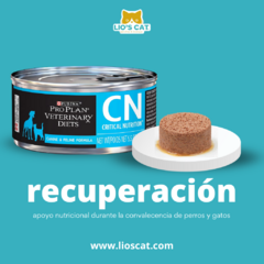 Pro Plan PPVD CN Critical Nutrition es un alimento especializado para perros y gatos en recuperación de enfermedades, cirugía o con necesidades nutricionales críticas. Fácil de digerir y altamente nutritivo. Textura del alimento Pro Plan PPVD CN Critical 