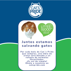 Cat's Pride Scented Easy Scoop Arena para gato Aglutinante, Elimina olores, Sin químicos tòxicos, Grumos Sòlidos 10lb - Veterinaria Bichos Company