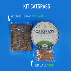 Catgrass de Trigo Un Dos Tres - tienda en línea