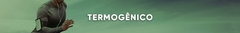 Banner da categoria Termogênico