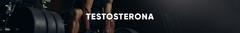 Banner da categoria Testosterona