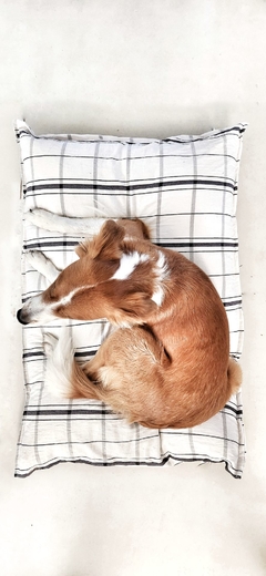 Pillow o cama para mascotas en internet
