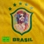 Camiseta do Brasil - Raul Seixas