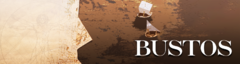 Banner da categoria Bustos