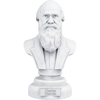 Estátua Busto Charles Darwin Naturalista