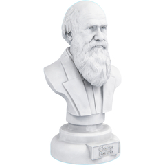 Estátua Busto Charles Darwin Naturalista - comprar online