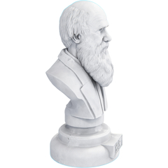 Estátua Busto Charles Darwin Naturalista na internet