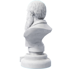 Imagem do Estátua Busto Charles Darwin Naturalista