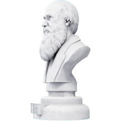 Estátua Busto Charles Darwin Naturalista