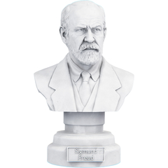 Estátua Busto Sigmund Freud Psicanalise