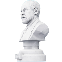 Estátua Busto Sigmund Freud Psicanalise