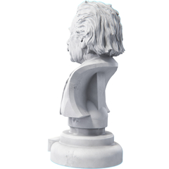 Imagem do Estátua Busto Albert Einstein Físico Teórico - Estatueta