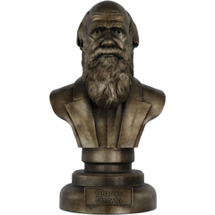 Estátua Busto Charles Darwin Naturalista - Renascença