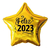 Balão Feliz 2023 Metalizado - 9" - Und - comprar online