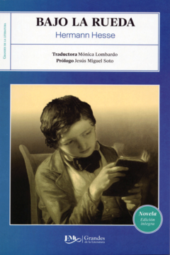 Hermann Hesse Klein y Wagner Bajo La Rueda Lobo Estepario Siddhartha Demian 5 Libros Pack - Librus.com.mx